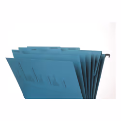 Pagna 44105-02 cartella sospesa e accessorio A4 Cartoncino Blu 10 pz - Vista aggiuntiva 6