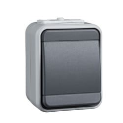 Schneider Electric 441609 interruttore della luce Termoplastica Grigio