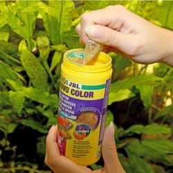 JBL - ProNovo Color Flakes m - fioccato per colori brillanti per tutti i pesci tropicali da 8 a 20cm - Formato: 250 ml
