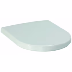 Copriwater Special larghezza: 380 mm profonditá: 450 mm altezza: 55 mm materiale: duroplast colore: bianco rimovibile fissagg ...
