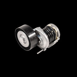 INA 534 0606 10 Braccio tenditore, Cinghia Poly-V 70,3 33
