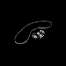 INA 529 0164 10 Kit cinghie Poly-V Controllare corsa libera generatore ed ev. sostituire RENAULT: MEGANE 3, Kangoo II / Grand Kangoo, Scénic 1