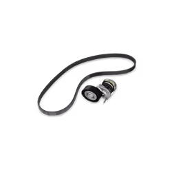 Kit cinghie Poly-V; INA; Controllare corsa libera generatore ed ev. sostituire; per HONDA; 04301RNA305, 04301RNA306, 31110RWK ...