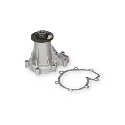 Pompa acqua; INA; per trasmissione cinghia Poly-V; per JEEP; 4626054, 4626054AE, 4626054AF
