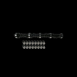 INA 428 0039 30 Kit albero a camme VOLKSWAGEN: Touran I, Transporter 5, SEAT: Ibiza 3, AUDI: A4 B7 Avant