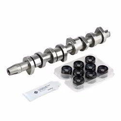 Kit albero a camme; INA; per VOLKSWAGEN, SEAT, FORD, VW, SKODA; 038109101R, 038109309A, 038109309B, 038109309C, 1100669