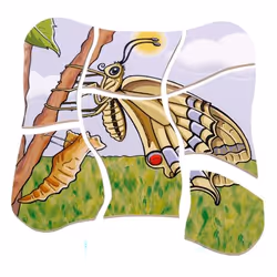 Beleduc Butterfly Puzzle a blocchi 28 pz Animali - Vista aggiuntiva 4