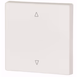 Eaton CWIZ-01/21, interruttore basculante, Bianco, Plastica, IP20, 55 mm, 55 mm