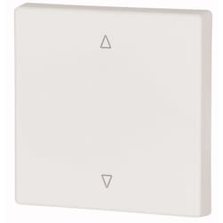 Eaton CWIZ-01/21 interruttore basculante