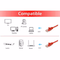 Equip 625427 cavo di rete Rosso 0,5 m Cat6 U/UTP (UTP) - Vista aggiuntiva 3