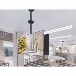 Equip 650370 Supporto per display espositivi 65" Nero - Vista aggiuntiva 4