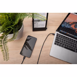 ASSMANN Electronic AK-880908-010-S cavo USB USB 2.0 1 m USB C Nero