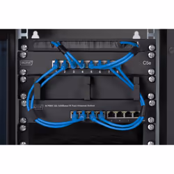Digitus Alloggiamento a parete 254 mm (10") - 312x300 mm (LxP) - Vista aggiuntiva 5