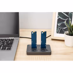 Digitus Stazione di clonazione NVMe Contenitore per SSD NVMe M.2 USB3.1 Gen2 Type-C - Vista aggiuntiva 2