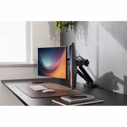 Digitus Supporto per monitor a doppio design, 2x 35", 2x 10 kg - Vista aggiuntiva 6