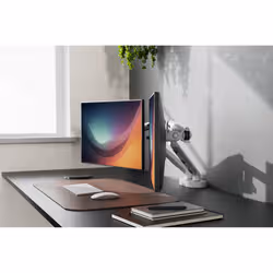 Digitus Supporto per monitor a doppio design, 2x 35", 2x 10 kg - Vista aggiuntiva 6