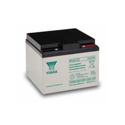 12V 24Ah NPL24-12I Yuasa batteria piombo