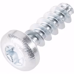 Dettagli tecnici Azionamento (strumento) Impronta T Dimensione del prodotto, lunghezza 8 mm Dimensione, Ø 2.5 mm Materiale Ac ...