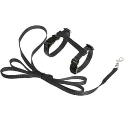K&F Art Sportiv Arnés+Black Correa 10mm Correa 120 cm