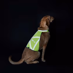 Hunter 42230 pettorina di sicurezza per cani M Poliestere Giallo