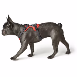 Hunter 67632 Pettorina per cani e gatti M Grigio, Rosso Nylon, Poliestere Cane Imbracatura da traino - Vista aggiuntiva 5