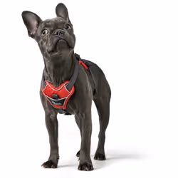 Hunter 67632 Pettorina per cani e gatti M Grigio, Rosso Nylon, Poliestere Cane Imbracatura da traino - Vista aggiuntiva 6