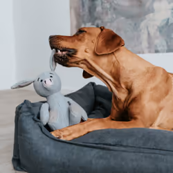 Hunter 69897 giocattolo per cani e gatti