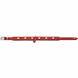 Hunter 69901 collare per cani e gatti Rosso, Bianco Pelle XS-S Cane Collare standard