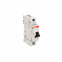 ABB 2CDS271001R0065 interruttore automatico Interruttore in miniatura 1
