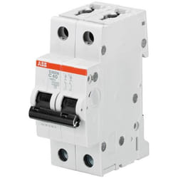 ABB 2CDS272001R0041 interruttore automatico Interruttore in miniatura