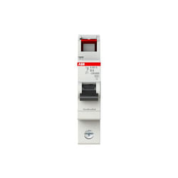 ABB 2CDS251002R0065 interruttore automatico Interruttore in miniatura 1