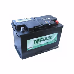 Batteria sigillata al piombo pronta all'uso Tensione Volt 12 Spunto massimo: Ah100 = 720 Doppia maniglia sollevamento Adatta  ...