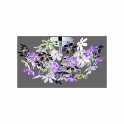 FLOWER PLAF.FIORI ACR.TRAS+COL CM49