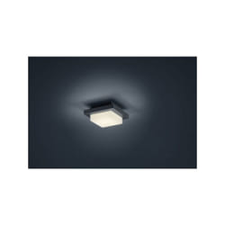 Trio - Applique a parete led hondo quadrata 228960142 antracite 14x14cm