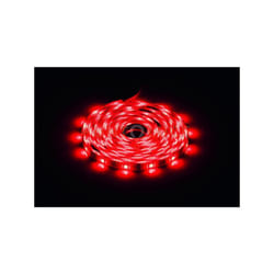 Stricia luminosa rgb stripe R65485169