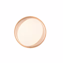 TRIO ZETA illuminazione da soffitto LED 24 W - Vista aggiuntiva 5