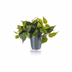 plant solo pianta finta di sostituzione plant solo pianta finta di sostituzione lampadario modello lamp dimensioni prodotto a ...