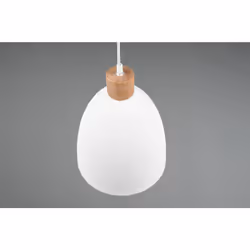 TRIO JAGGER – R30681031 illuminazione da soffitto E27 40 W - Vista aggiuntiva 4