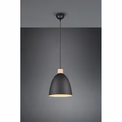TRIO JAGGER – R30681032 illuminazione da soffitto E27 40 W - Vista aggiuntiva 5