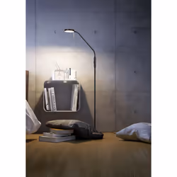 TRIO TR423310132 illuminazione da pavimento Lampadina/e non sostituibile/i LED 12 W - Vista aggiuntiva 5