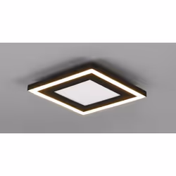 TRIO R67212032 illuminazione da soffitto Lampadina/e non sostituibile/i LED 10 W