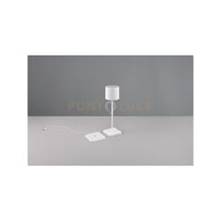 Reality Leuchten - Lampada esterno Fernandez ricaricabile a induzione bianca R54096131