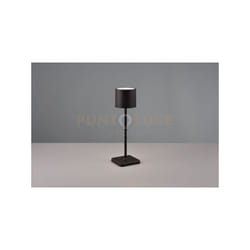 Reality Leuchten - Lampada esterno Fernandez ricaricabile a induzione nera R54096132