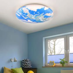 Reality Leuchten - Lampada da soffitto Lampada da soffitto led rotonda da soggiorno a globo, in metallo, 1x led 15W 500lm 3000K bianco caldo, DxH