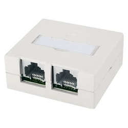 Telegärtner J00023A0056 presa energia RJ-45 Bianco