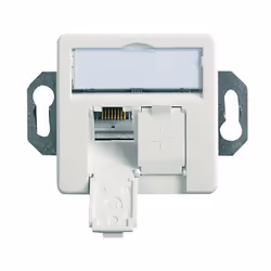 Telegärtner 100022957, 2 x RJ-45, 6a, Bianco, Zinco, 1 pz