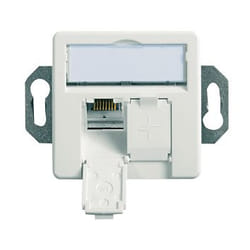Telegärtner 100022957 presa energia 2 x RJ-45 Bianco