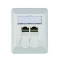Telegärtner J00023A0204 presa energia RJ-45 Bianco