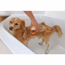 Kerbl MagicBrush Oro, Trasparente Cane Spazzola - Vista aggiuntiva 5