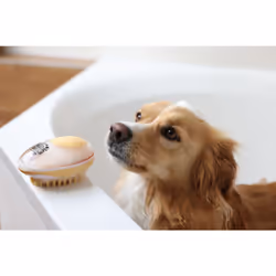 Kerbl MagicBrush Oro, Trasparente Cane Spazzola - Vista aggiuntiva 7